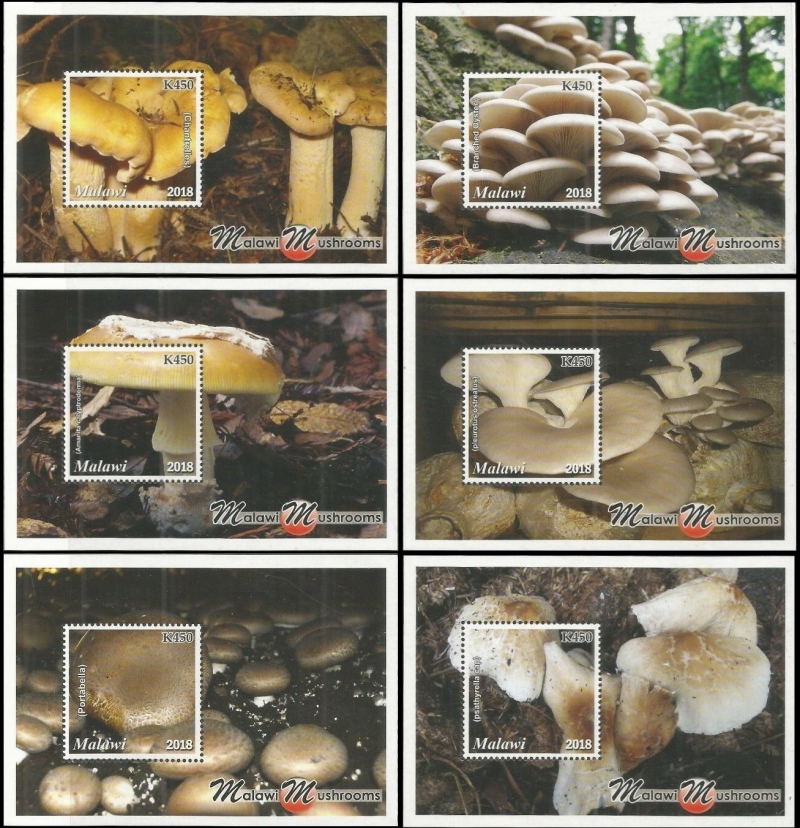 Malawi 2018 Mushrooms of Malawi Souvenir Sheets of 1