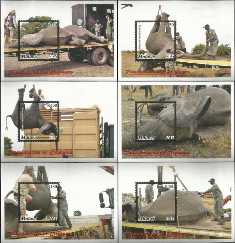 Malawi 2018 Translocation of Elephants Souvenir Sheets of 1