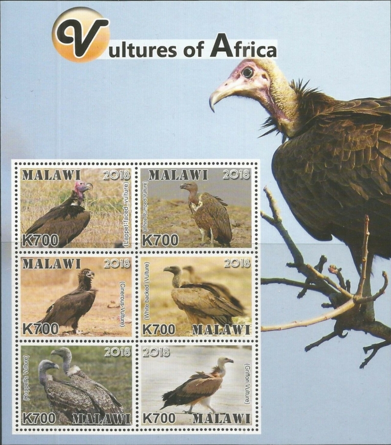 Malawi 2018 Vultures of Africa Souvenir Sheet of 6