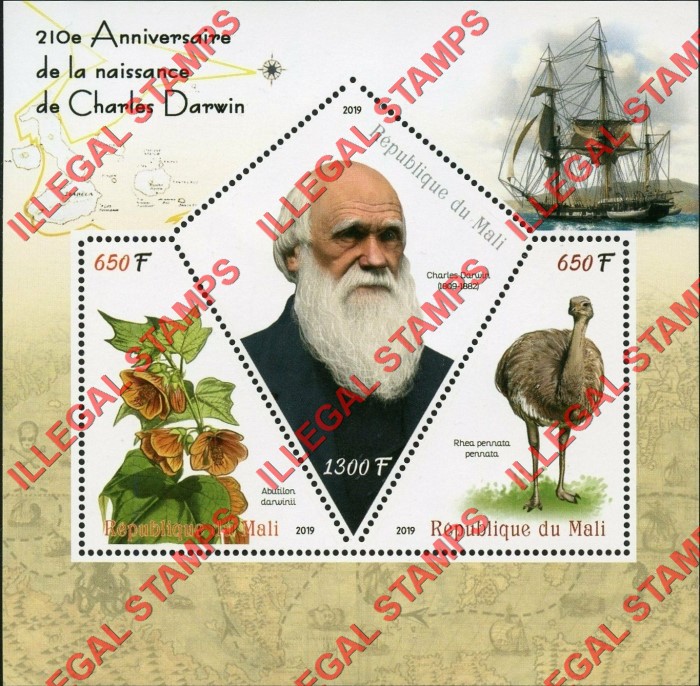 Mali 2019 Charles Darwin Illegal Stamp Souvenir Sheet of 3