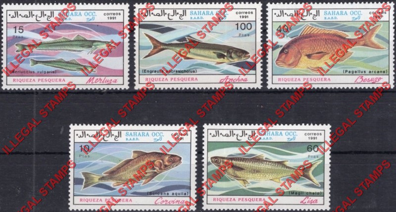 Sahara Occ. RASD 1991 Fish Counterfeit Illegal Stamp Set of 5