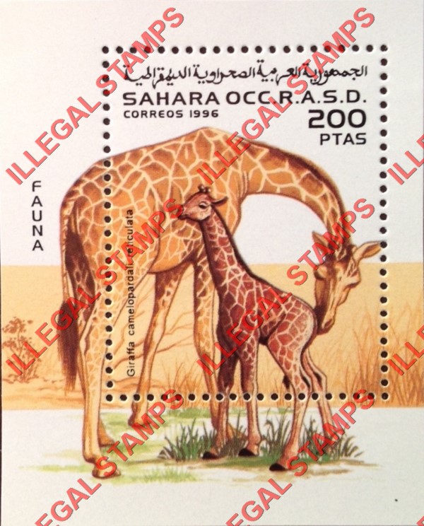 Sahara Occ. RASD 1996 Animals Fauna Giraffes Counterfeit Illegal Stamp Souvenir Sheet of 1