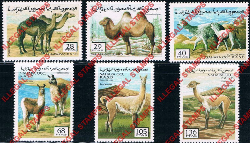 Sahara Occ. RASD 1996 Camels Counterfeit Illegal Stamp Set of 5
