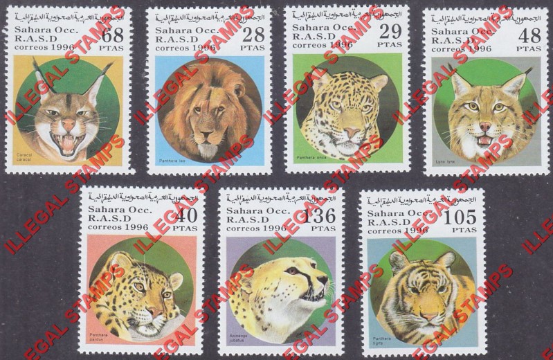 Sahara Occ. RASD 1996 Wild Cats Counterfeit Illegal Stamp Set of 7