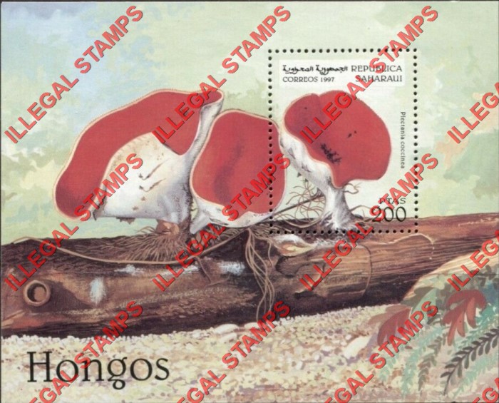 Republica Saharaui 1997 Mushrooms Counterfeit Illegal Stamp Souvenir Sheet of 1