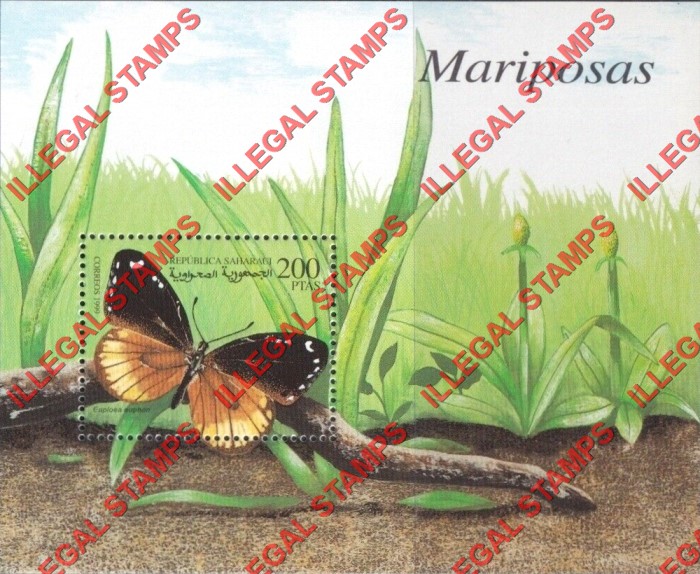 Republica Saharaui 1999 Butterflies Counterfeit Illegal Stamp Souvenir Sheet of 1