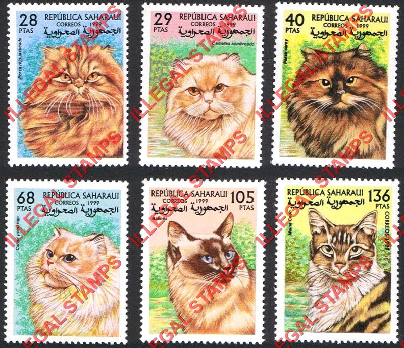 Republica Saharaui 1999 Cats Counterfeit Illegal Stamp Set of 6