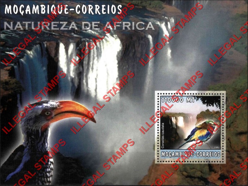  Mozambique 2002 Nature of Africa Birds Counterfeit Illegal Stamp Souvenir Sheet of 1