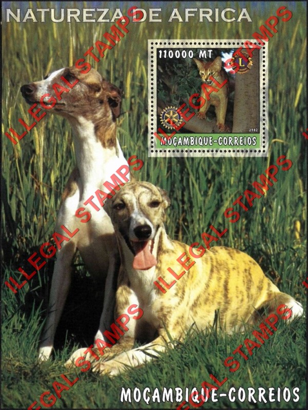  Mozambique 2002 Nature of Africa Cats Dogs Counterfeit Illegal Stamp Souvenir Sheet of 1
