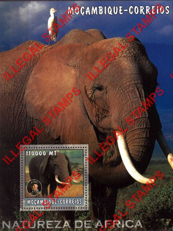  Mozambique 2002 Nature of Africa Elephants Counterfeit Illegal Stamp Souvenir Sheet of 1