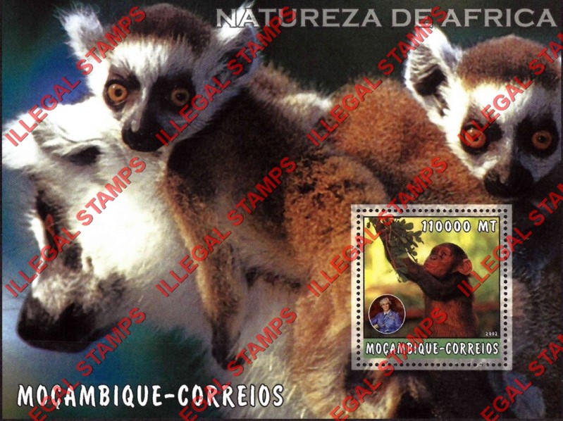  Mozambique 2002 Nature of Africa Monkey Lemurs Counterfeit Illegal Stamp Souvenir Sheet of 1