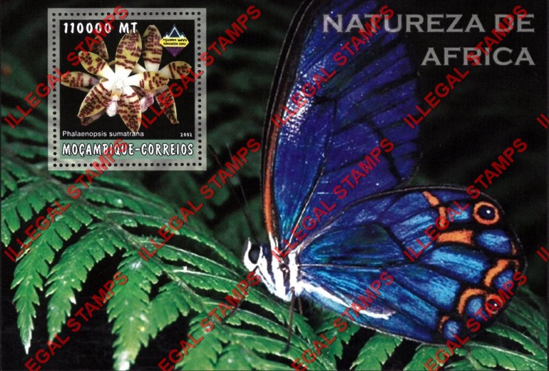  Mozambique 2002 Nature of Africa Orchids Butterfly Counterfeit Illegal Stamp Souvenir Sheet of 1