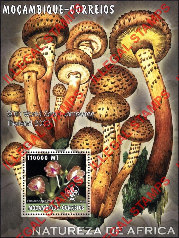  Mozambique 2002 Nature of Africa Orchids Mushrooms Counterfeit Illegal Stamp Souvenir Sheet of 1
