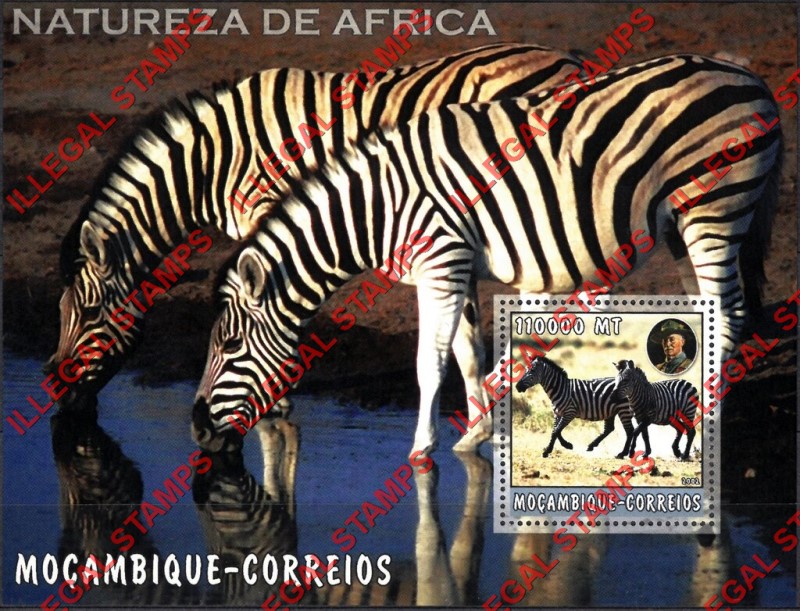  Mozambique 2002 Nature of Africa Zebras Counterfeit Illegal Stamp Souvenir Sheet of 1