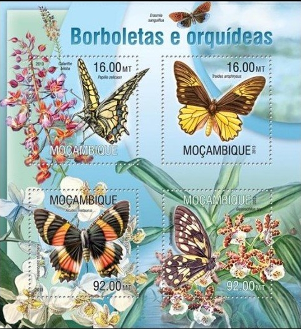  Mozambique 2013 Butterflies and Orchids Authorized Stamp Souvenir Sheet of 4
