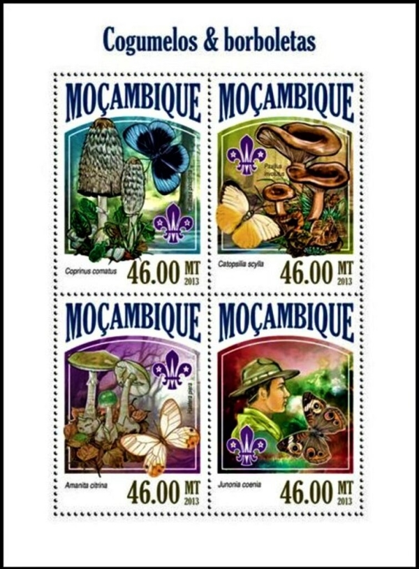  Mozambique 2013 Scouting Mushrooms and Butterflies Authorized Stamp Souvenir Sheet of 4