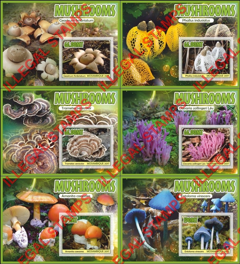  Mozambique 2017 Mushrooms Counterfeit Illegal Stamp Souvenir Sheets of 1