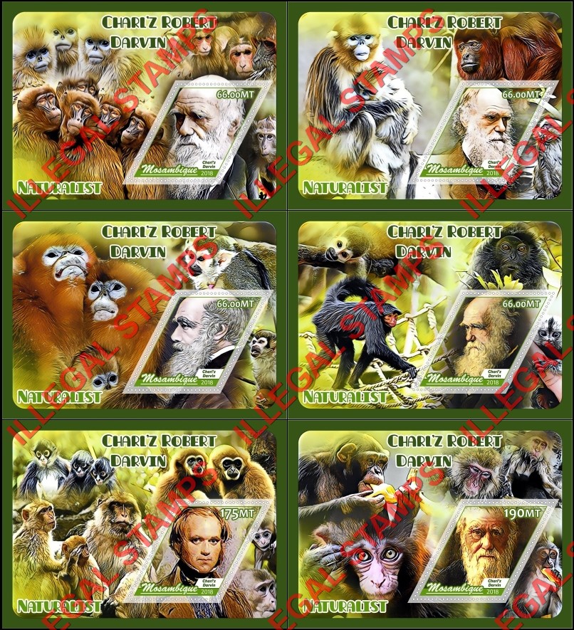  Mozambique 2018 Charles Darwin Naturalist Counterfeit Illegal Stamp Souvenir Sheets of 1