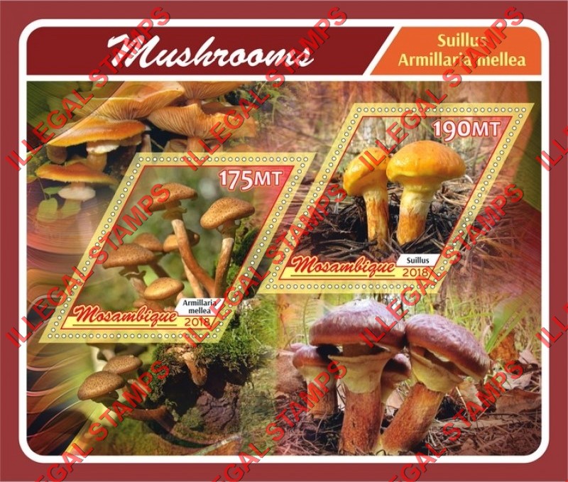  Mozambique 2018 Mushrooms (different b) Counterfeit Illegal Stamp Souvenir Sheet of 2