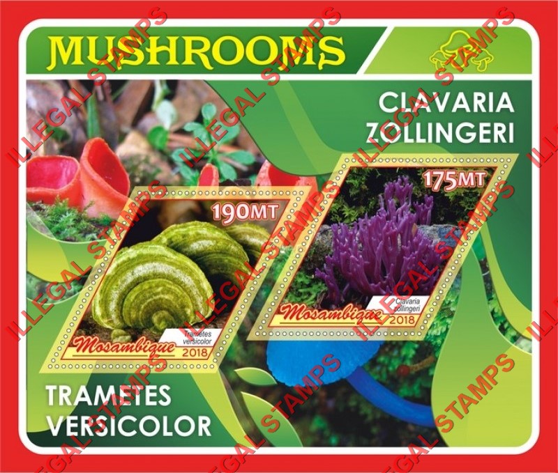  Mozambique 2018 Mushrooms (different c) Counterfeit Illegal Stamp Souvenir Sheet of 2