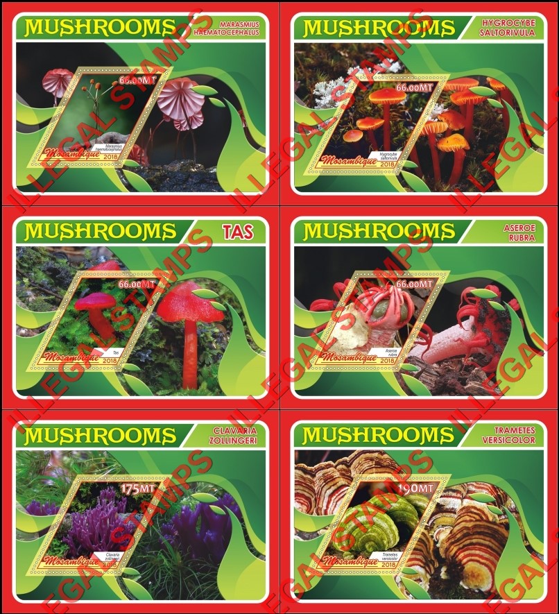  Mozambique 2018 Mushrooms (different c) Counterfeit Illegal Stamp Souvenir Sheets of 1