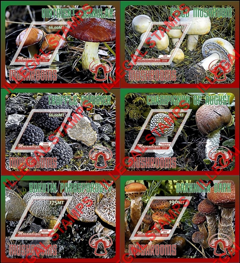  Mozambique 2018 Mushrooms (different) Counterfeit Illegal Stamp Souvenir Sheets of 1