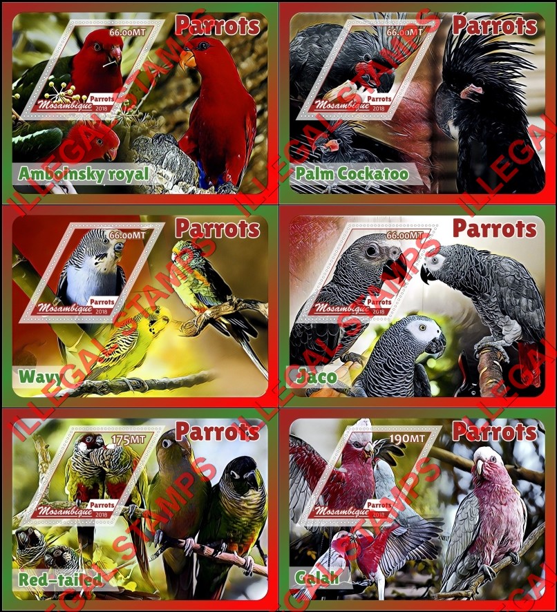  Mozambique 2018 Parrots Counterfeit Illegal Stamp Souvenir Sheets of 1