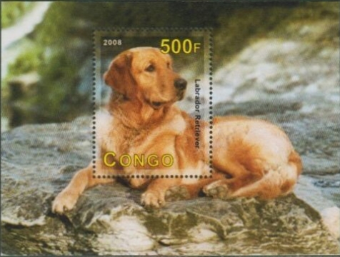 2008 Congo Labrador Retriever Fantasy Label Souvenir Sheet of 1