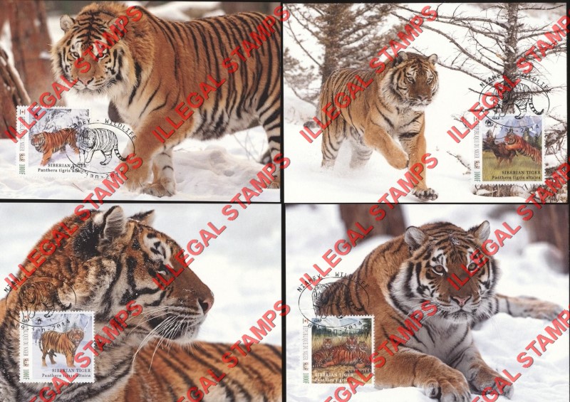 Niger 2013 Animals Tigers WW Illegal Stamp Set of 4 on Fake First Day Cancel Postcards
