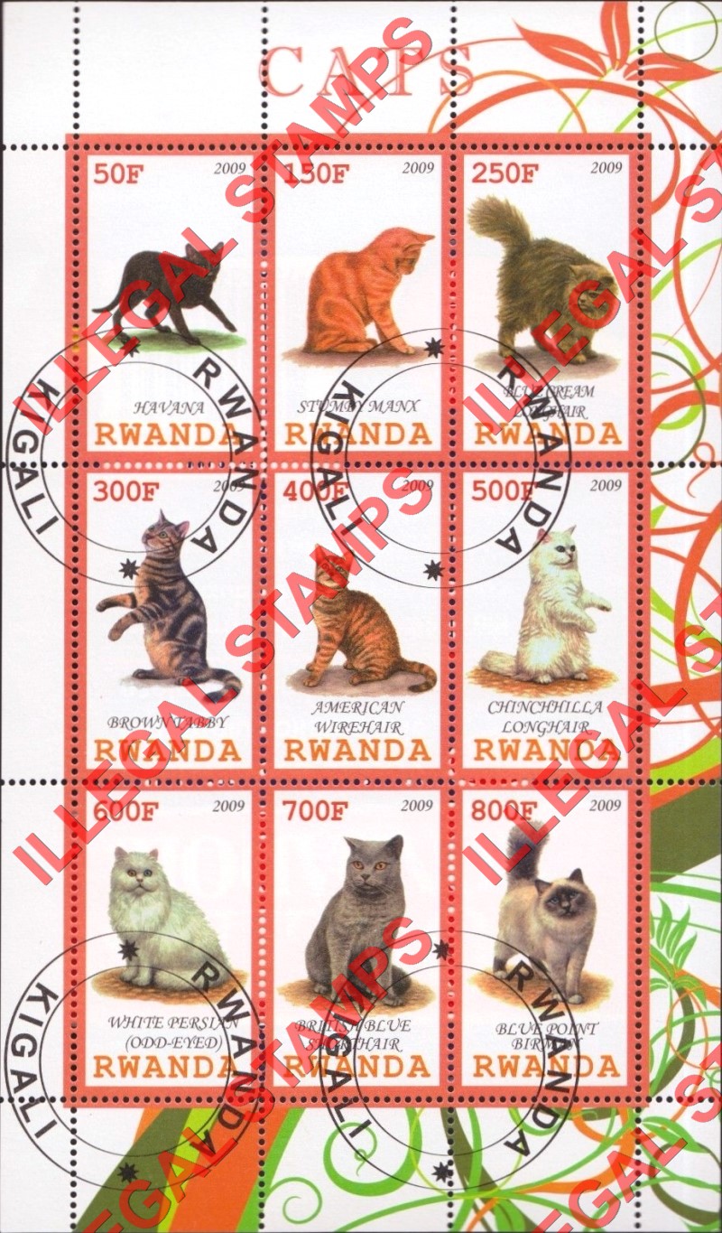 Rwanda 2009 Cats Illegal Stamp Sheet of 9
