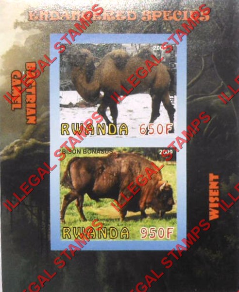 Rwanda 2009 Endangered Species Bactrian Camel and Wisent Illegal Stamp Souvenir Sheet of 2