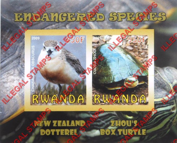 Rwanda 2009 Endangered Species New Zealand Dotterel and Zhou's Box Turtle Illegal Stamp Souvenir Sheet of 2