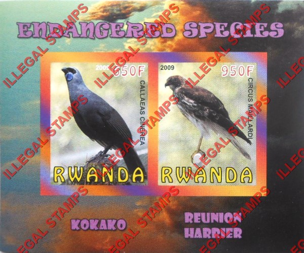 Rwanda 2009 Endangered Species Kokako and Reunion Harrier Illegal Stamp Souvenir Sheet of 2