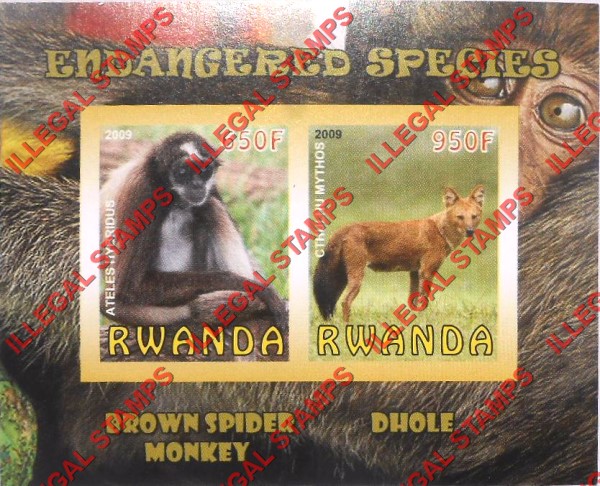 Rwanda 2009 Endangered Species Brown spider Monkey and Dhole Illegal Stamp Souvenir Sheet of 2