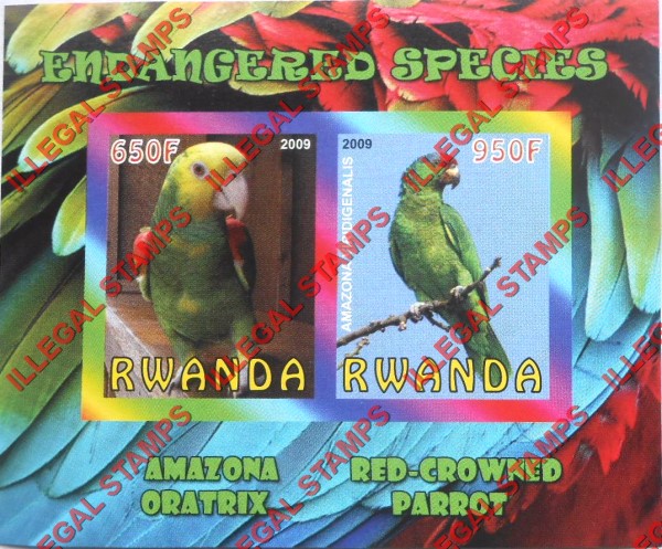 Rwanda 2009 Endangered Species Amazona Oratrix and Red-crowned Parrot Illegal Stamp Souvenir Sheet of 2