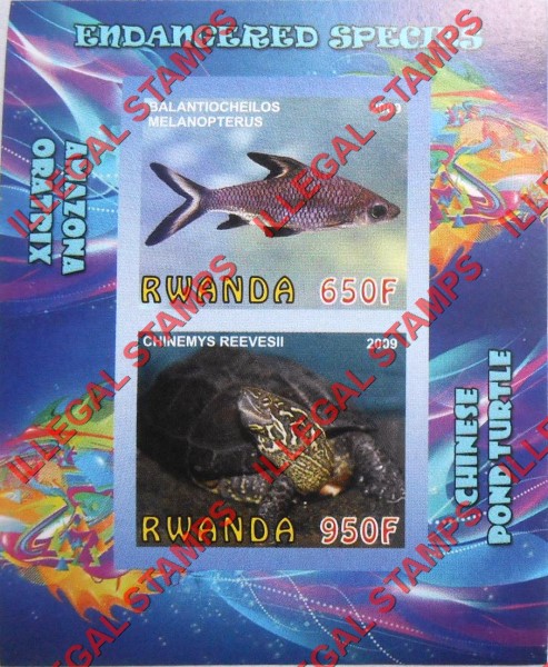 Rwanda 2009 Endangered Species Amazona Oratrix and Chinese Pond Turtle Illegal Stamp Souvenir Sheet of 2