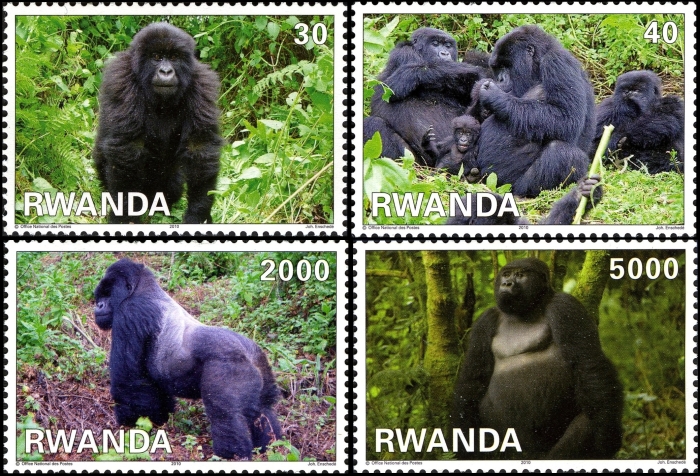 Rwanda 2010 Mountain Gorillas Official Stamp Set