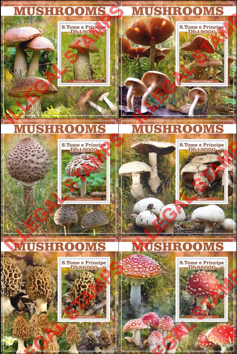 Saint Thomas and Prince Islands 2021 Mushrooms Illegal Stamp Souvenir Sheets of 1
