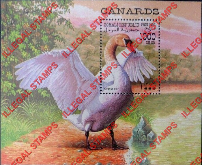 Somalia 1998 Birds Ducks Illegal Stamp Souvenir Sheet of 1