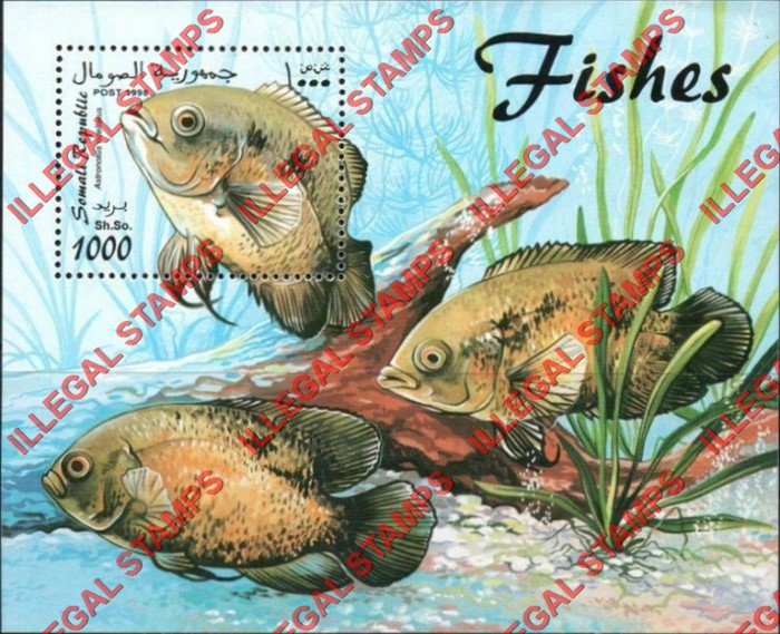 Somalia 1998 Fish Illegal Stamp Souvenir Sheet of 1