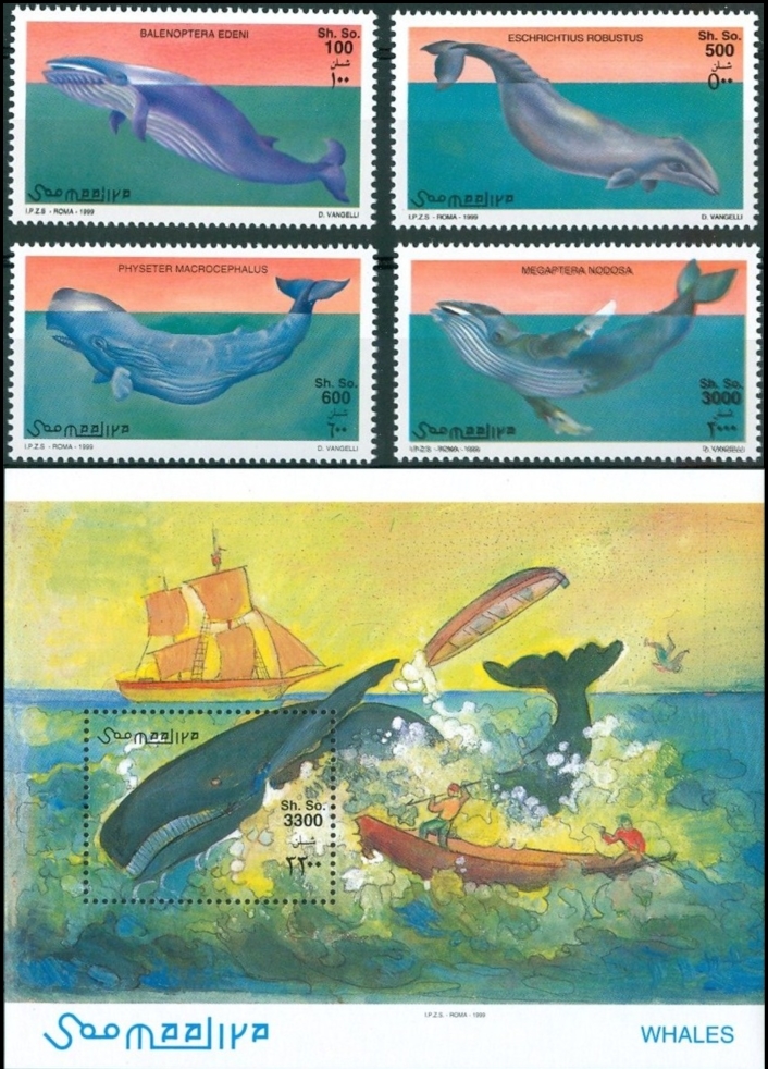 Somalia 1999 Whales Michel 789-792 BL 64
