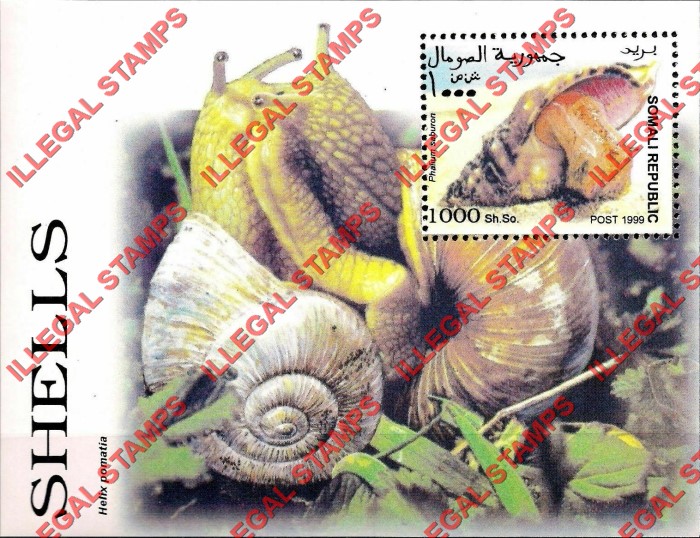 Somalia 1999 Shells Illegal Stamp Souvenir Sheet of 1
