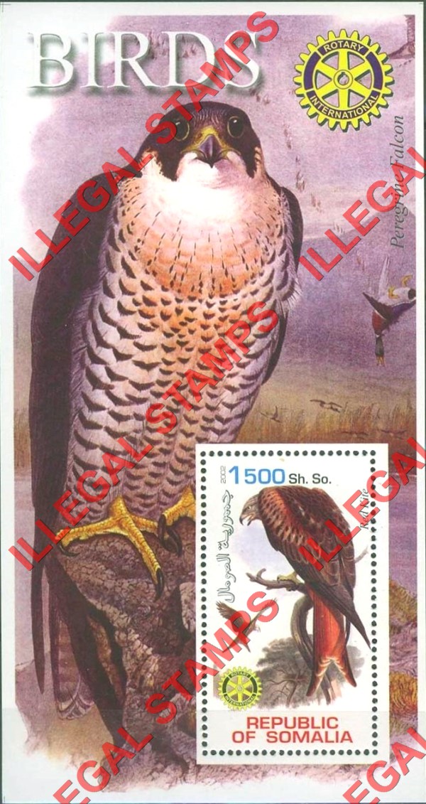 Somalia 2002 Birds Illegal Stamp Souvenir Sheet of 1
