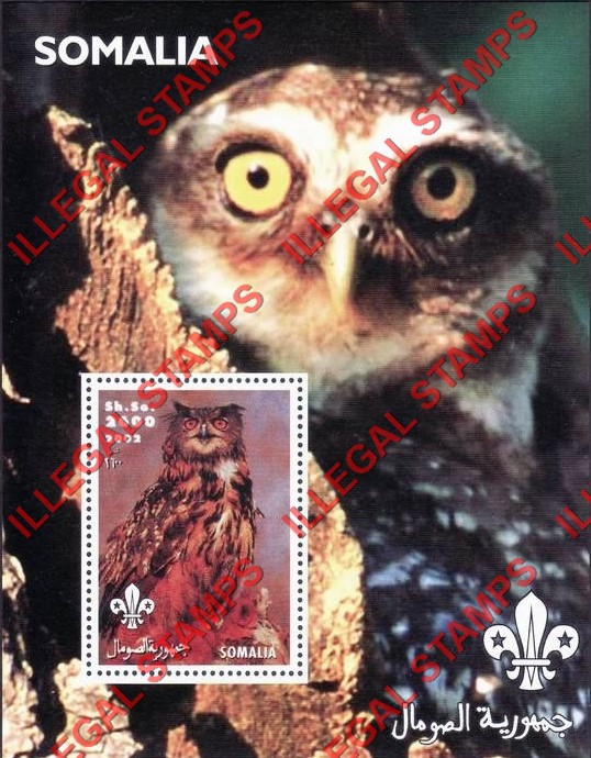 Somalia 2002 Owls Illegal Stamp Souvenir Sheet of 1 (Sheet 1)