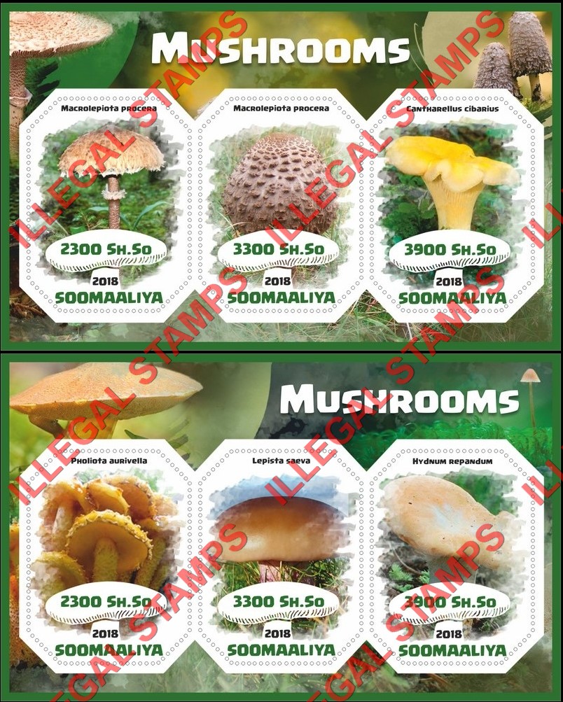Somalia 2018 Mushrooms (different) Illegal Stamp Souvenir Sheets of 3