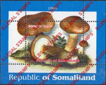 Somaliland 1999 Mushrooms Illegal Stamp Souvenir Sheet of 1
