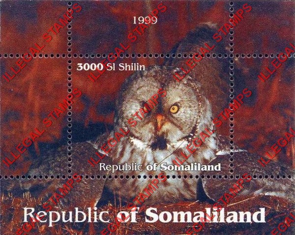 Somaliland 1999 Owls Illegal Stamp Souvenir Sheet of 1