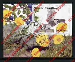 Somaliland 2001 Owls Illegal Stamp Souvenir Sheet of 1