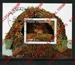 Somaliland 2001 Shrew Illegal Stamp Souvenir Sheet of 1