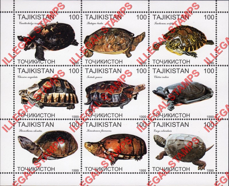 Tajikistan 1999 Turtles Illegal Stamp Souvenir Sheet of 9